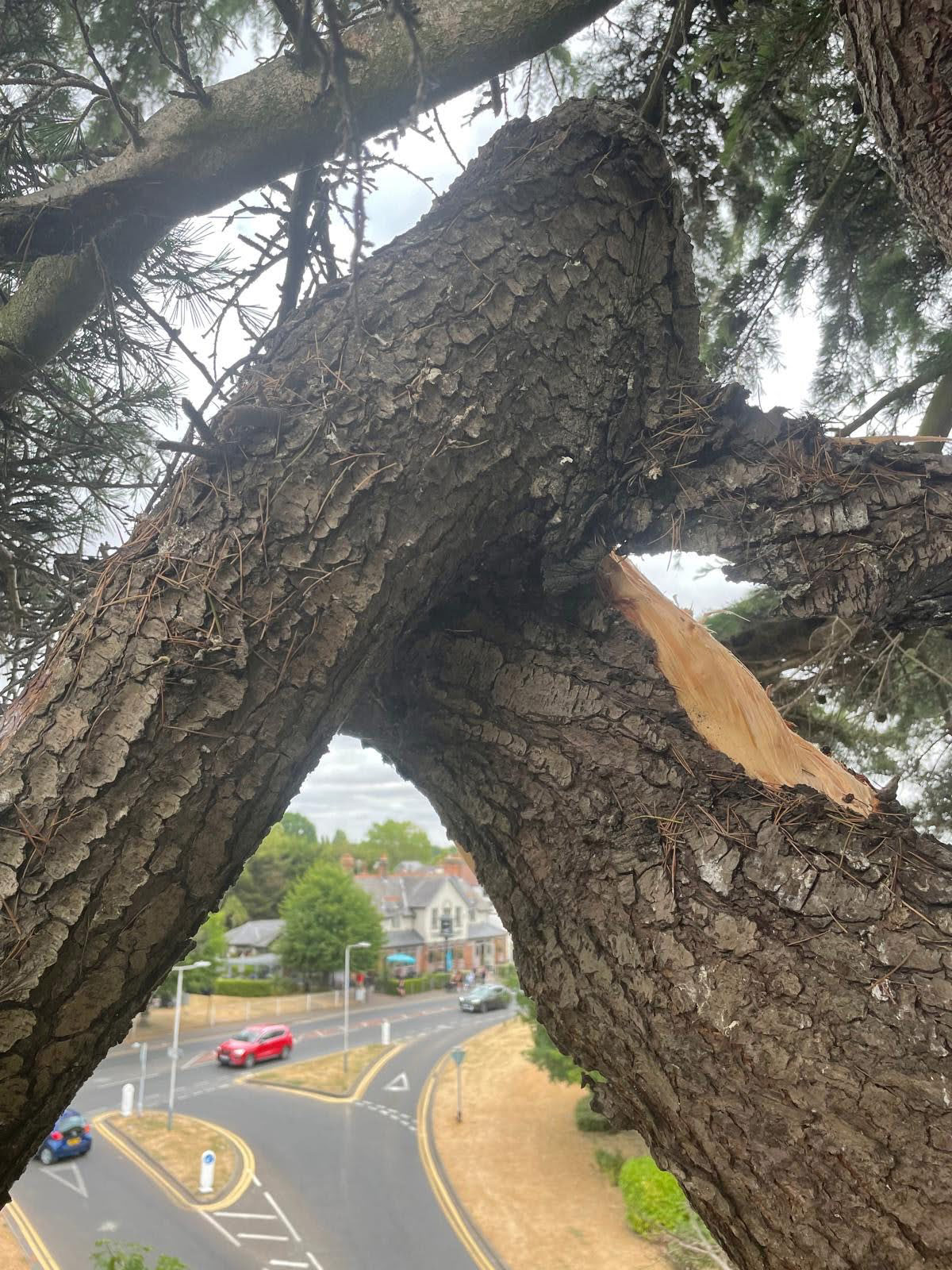 Dangerous Limb Removal