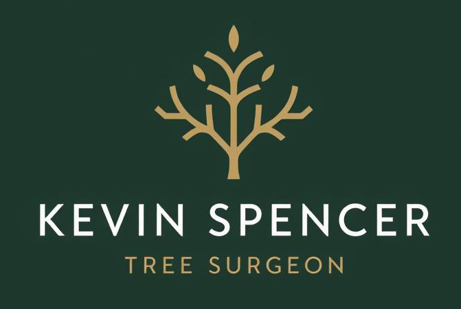 Kevin Spencer Tree Surgeon