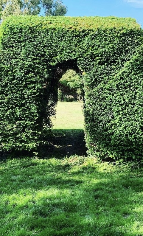 Hedge Maintenance