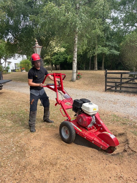 Stump Grinding